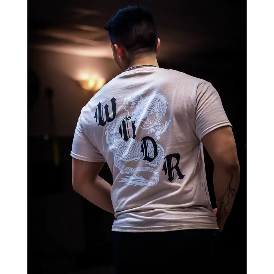 Ryu T-Shirt - tshirts